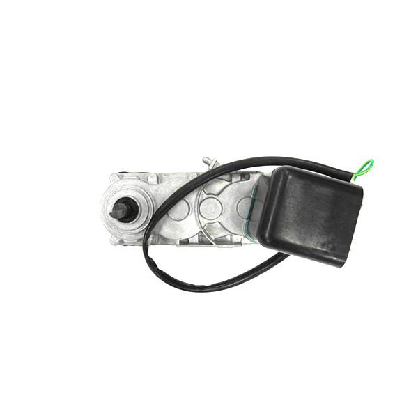 Gear Motor